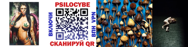 купить закладку  Полярные Зори  Галлюциногенные грибы MAGIC MUSHROOMS 